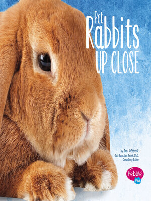 cover image of Pet Rabbits Up Close